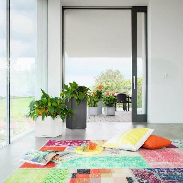 Actual product image Lechuza CANTO Premium 40 low anthracite metallic (40 x 40 x 40 cm)