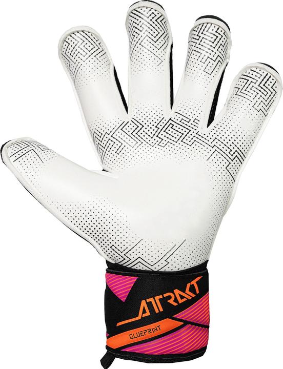Produktbild Reusch Attrakt Advance Evolution Glueprint (9.5)