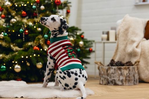 Produktbild Beeztees Hohoho (M, Hundepullover)