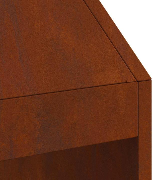 Image du produit vidaXL Holzfeuerstelle
