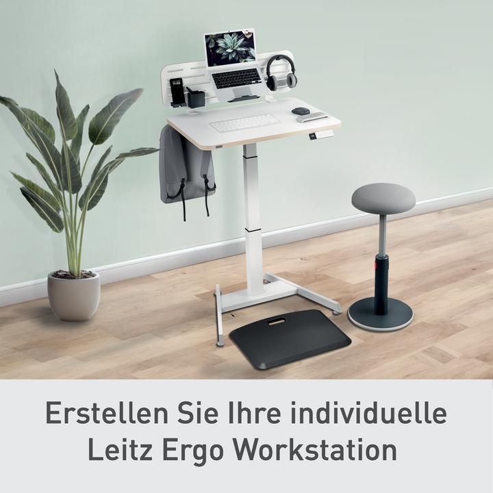 Produktbild Leitz Pegboard-Schreibtisch-Organizer