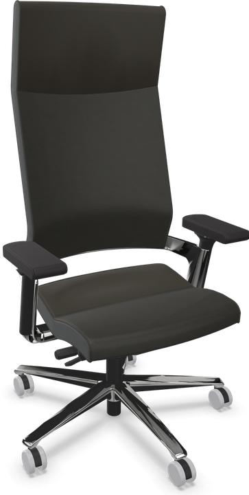 Leder Premium Pfefferbraun