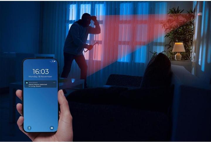 Actual product image Shelly Wave Motion EU LR (80 m)