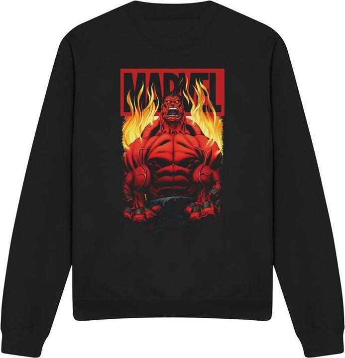 Image du produit - Sweat - Adulte (XL)
