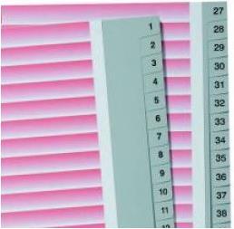 Actual product image Kolma Index A4 strong 1-52 52-piece grey