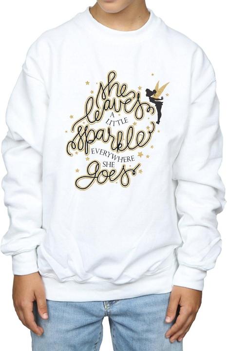 Image du produit Disney - Sweat TINKERBELL STARS - Garçon (140, 146)