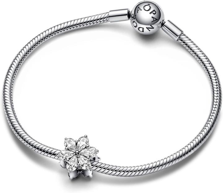 Actual product image Pandora Timeless (Sterling silver 925)