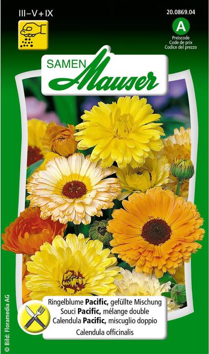 Actual product image Samen Mauser Marigold Pacific, double mixture (Plant seeds)