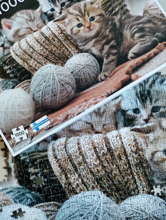 Produktbild Tactic Cute Kittens 1000 pcs (1000 Teile)