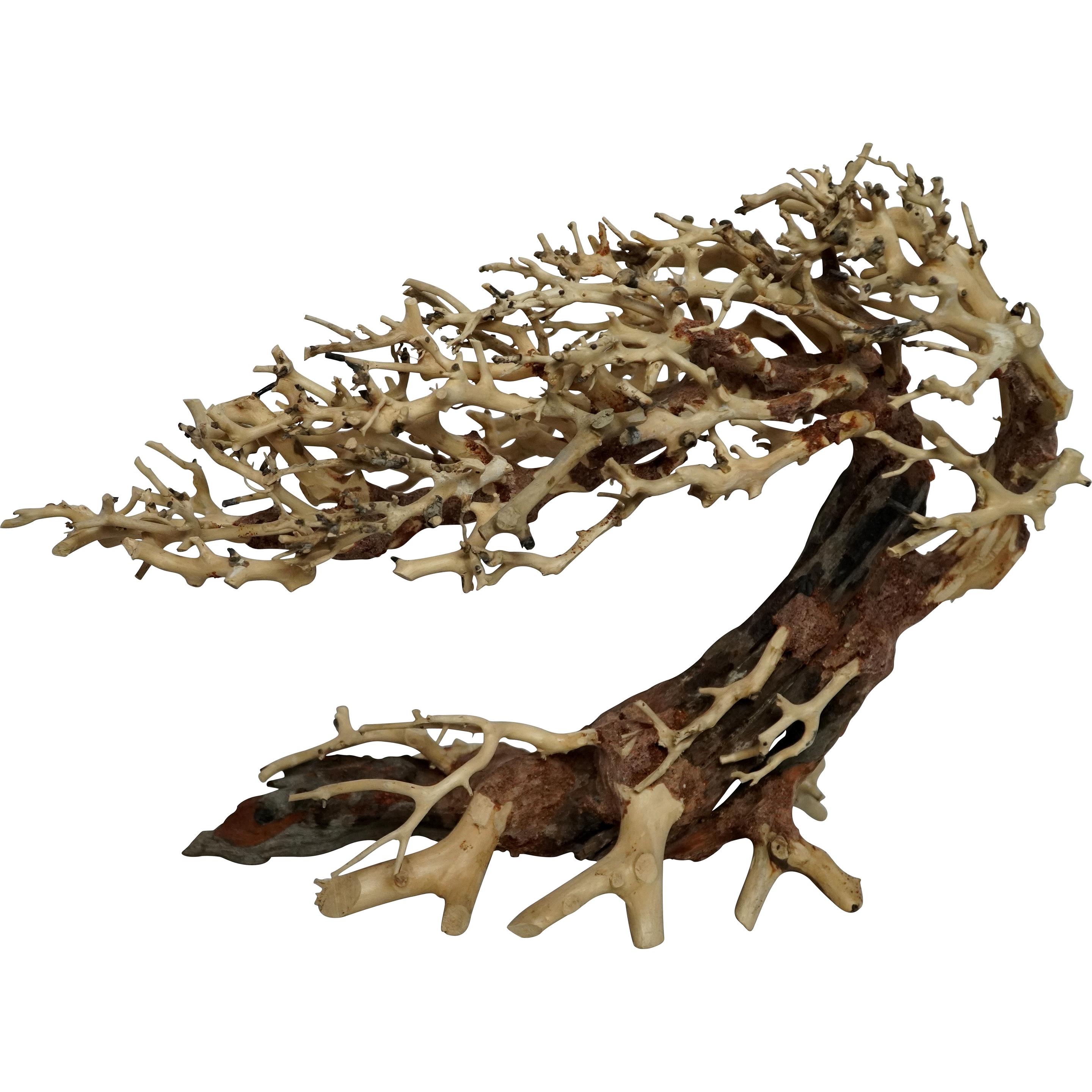 Comparer les prix de 4fish Traerødder, Elégant arbre brésilien, 30x13x23 cm (Décoration, autres éléments), Décoration d'aquarium