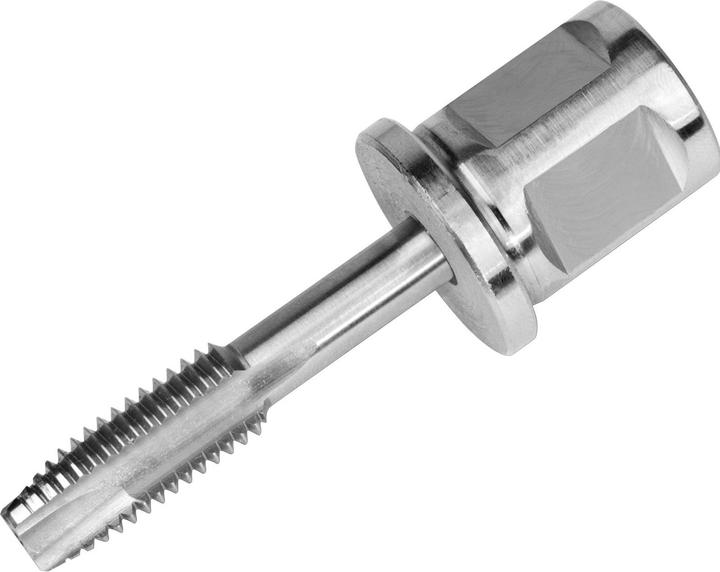 Produktbild Fein Gewindebohrer für Durchgangslöcher mit Adapter 3/4 in Weldon-Aufnahme, Gewinde M 6