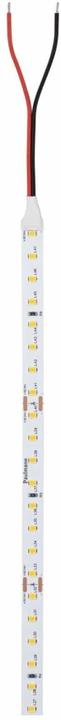Actual product image Paulmann Pro Strip Gold P75 (Warm white, 1000 cm, Indoor)