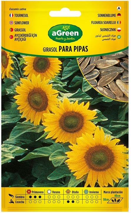 Agreen Sunflower seeds for pipes 301024bolsh (Vegetable seeds)