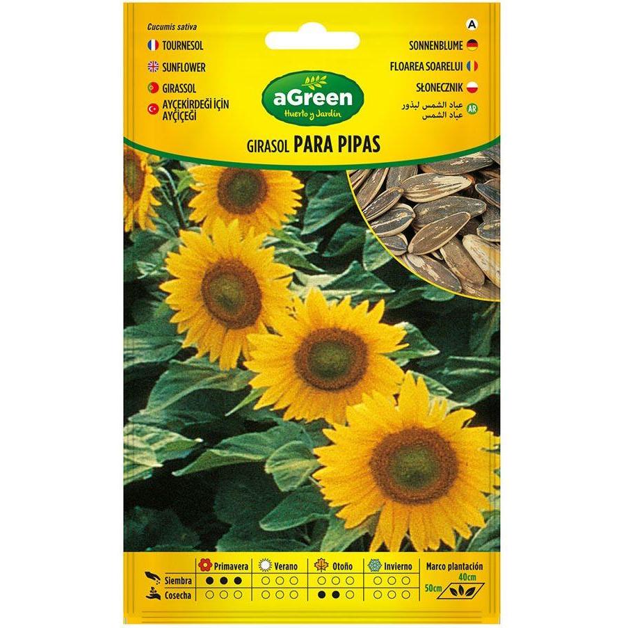 Agreen, Semi, Sunflower seeds for pipes 301024bolsh