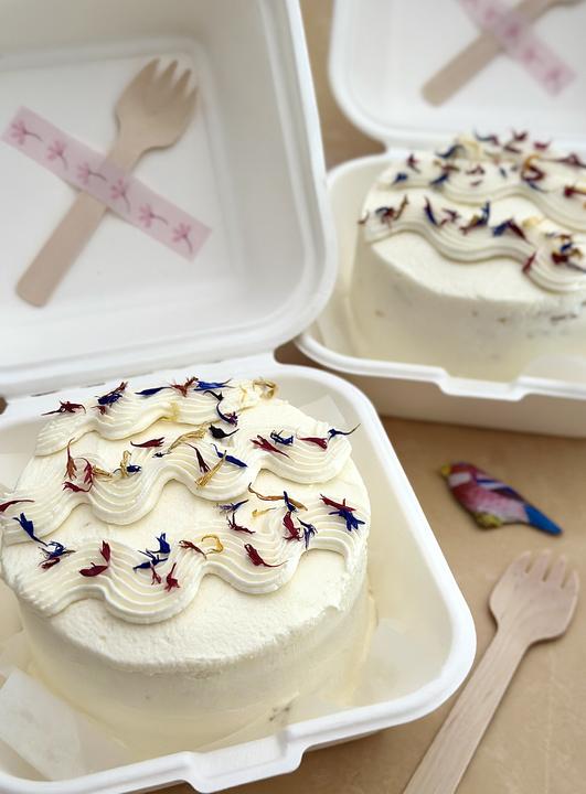 Produktbild Lubenow:Bento Cakes (Deutsch, Marid Lubenow, 2025)