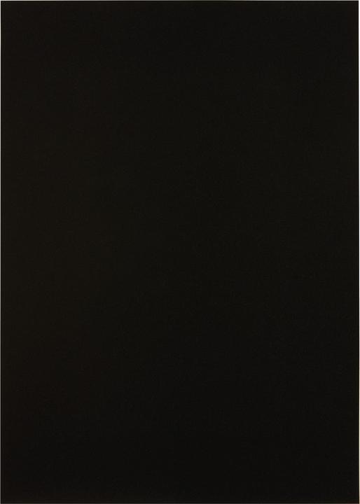 Produktbild GBC Umschlagdeckel PolyOpaque