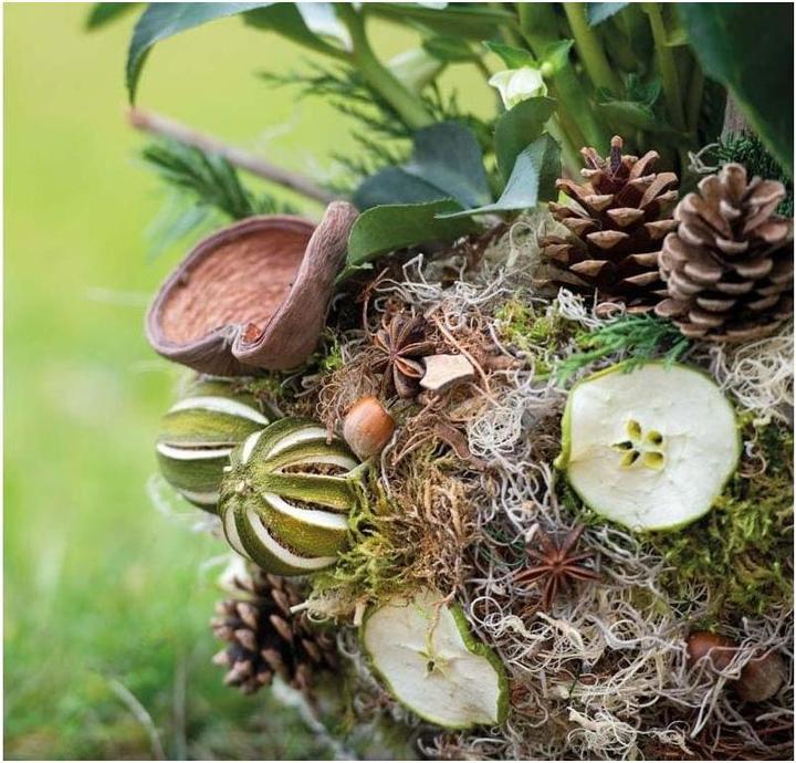 Actual product image Opiflor Deko Apfelscheiben getrocknet Grün, 500 g (500 g)