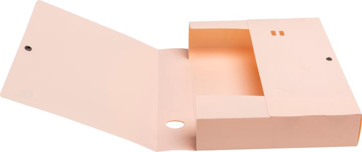 Produktbild Exacompta Archivbox mit Druckknopf, Rückenbreite 60mm, Recycling-PP, Skandi (A4)