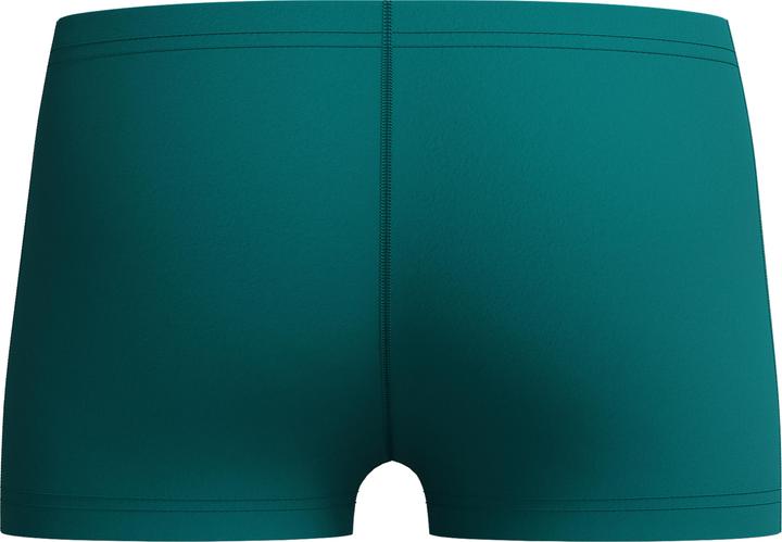 Image du produit Speedo Medley Logo Aquashort (176)