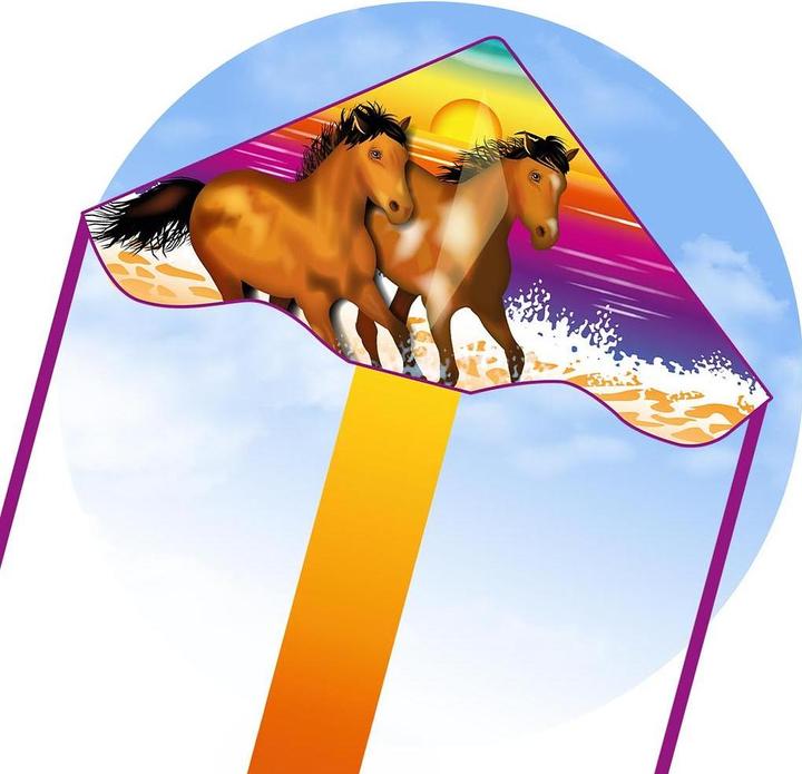 Actual product image Invento Kite Simple Flyer Wild Horses 85x42 cm, from 5 years