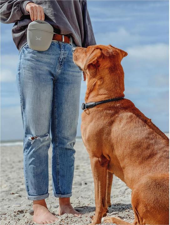 Actual product image Hunter Dressage Collar Freestyle with Stopper (L, Dog, General)