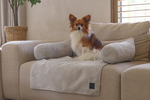 Immagine prodotto Designed by Lotte Cuscino per divano a coste (Cane)