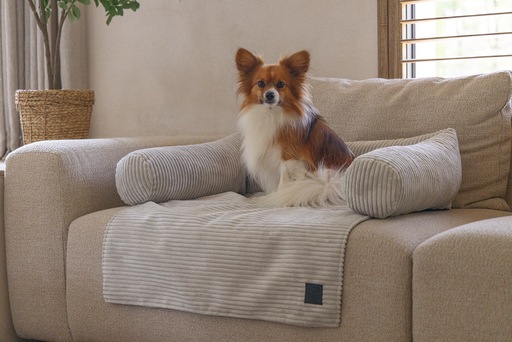 Productafbeelding Designed by Lotte Bankkussen Geribd (Hond)
