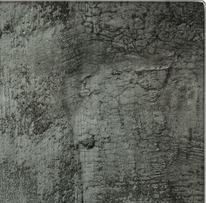 Immagine prodotto vidaXL Leonida