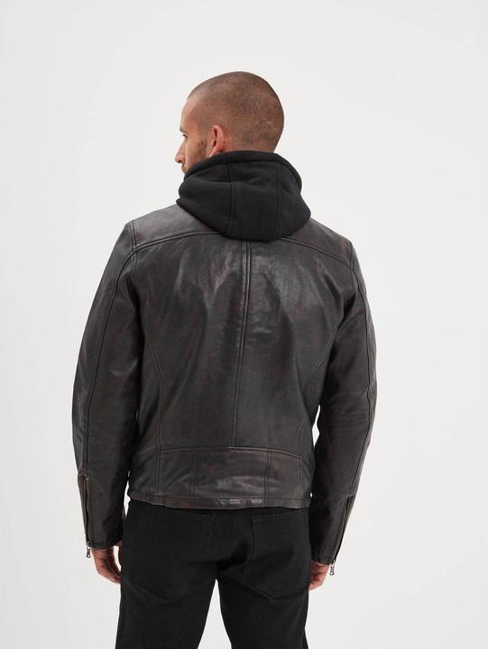 Produktbild Daytona 73 Winstoner Sheep Veg Kanwal (M)