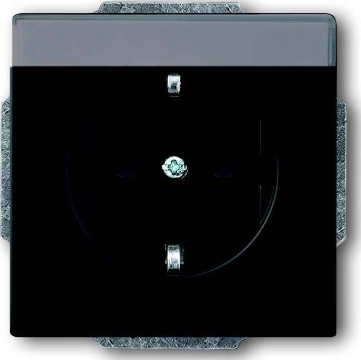 Actual product image Busch-Jaeger SCHUKO® socket outlet insert with 2CKA002011A3884
