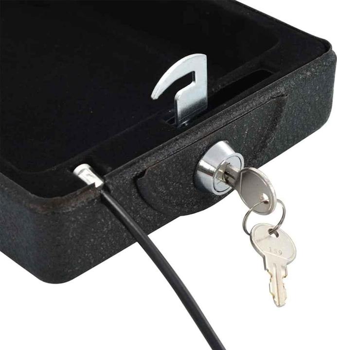 Immagine prodotto vidaXL Auto Safe