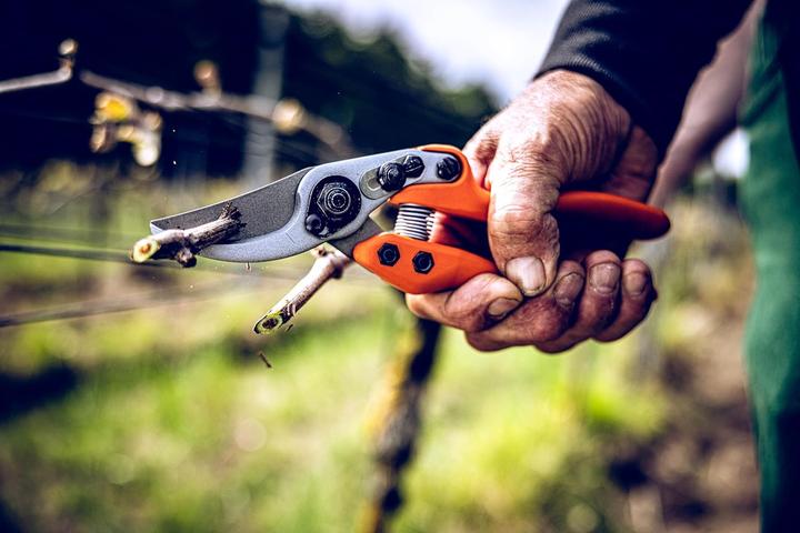 Produktbild Löwe 11 Profi Gartenschere Bypass, Standardgriff