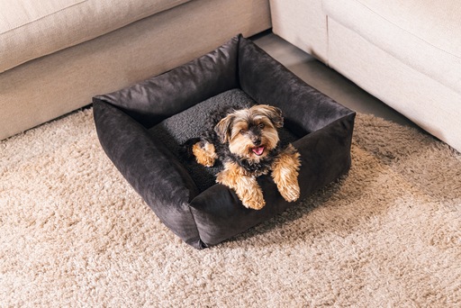 Image du produit Designed by Lotte Lit de repos Ribbed (Chien)