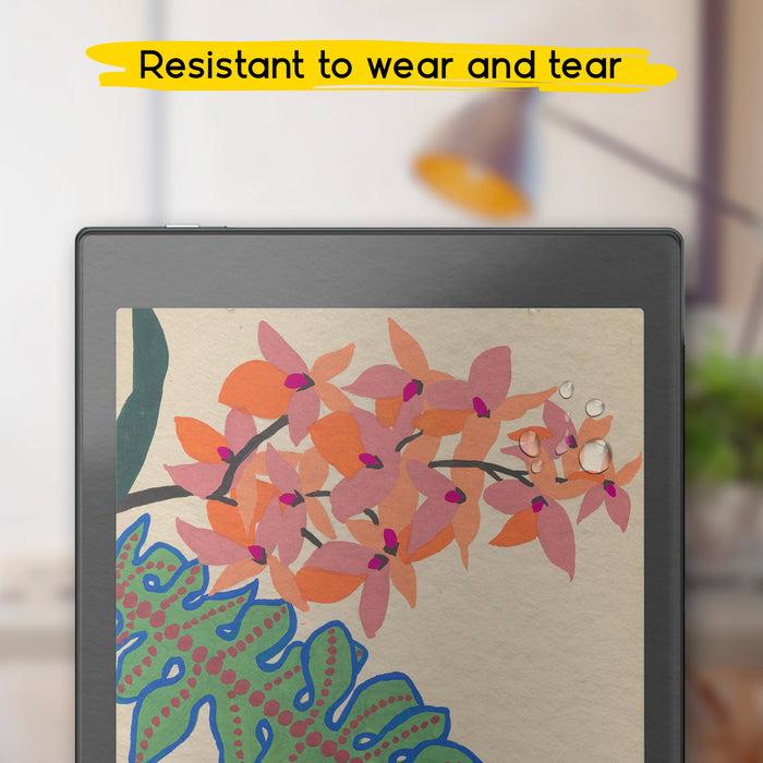 Actual product image Doodroo Ddbooxnovaair