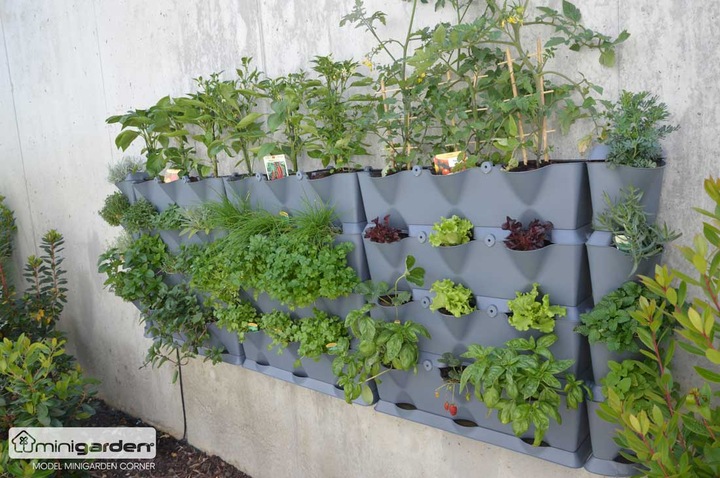 Image du produit Minigarden Pot à plantes Corner