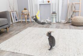 Produktbild Trixie Speelhengel Met Ratelbal En Veer Kunststof Assorti (Spielangel Katze)