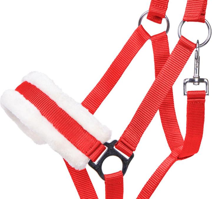 Immagine prodotto Qhp Cali