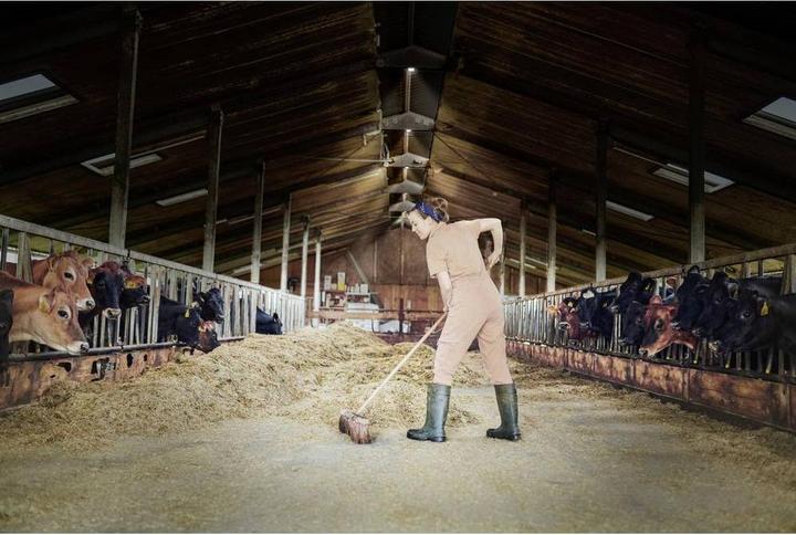 Produktbild Osram Highbay Ufo 80W 865 IP65 Black 4099854429354 LED-Hallenleuchte 80.00 W (9300 lm)