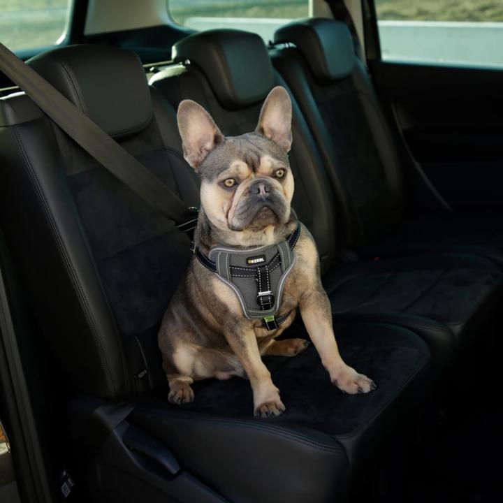 Produktbild Kerbl Autosicherheitsgeschirr (Hund, Reflektoren, Komplett zu öffnen)