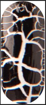 Actual product image Rio Crackle Nails Classic" ( NCRC) (White, Black, Silver)