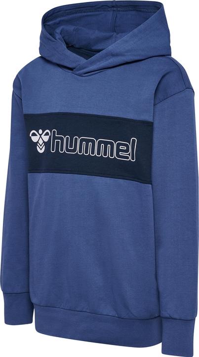 Produktbild hummel hmlATLAS HOODIE (104)