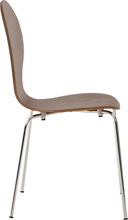 Actual product image CLP Diego