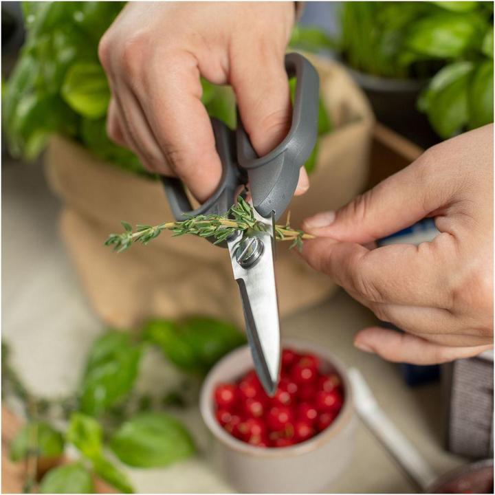 Actual product image Kuhn Rikon Kitchen Shears compact (17.80 cm)