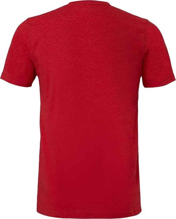 Actual product image Bella Canvas Adults Unisex Tri-Blend T-Shirt (L)