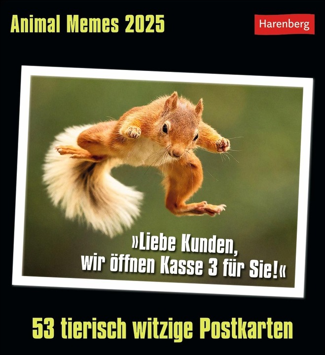 Harenberg Calendario cartoline animali 2025 - 53 cartoline animali divertenti (16 x 17,5 cm, Nessuna rilegatura, Inglese, Tedesco)
