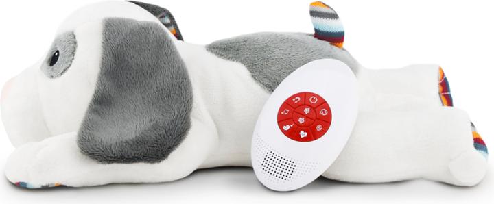 Produktbild ZaZu Dex (32 cm)