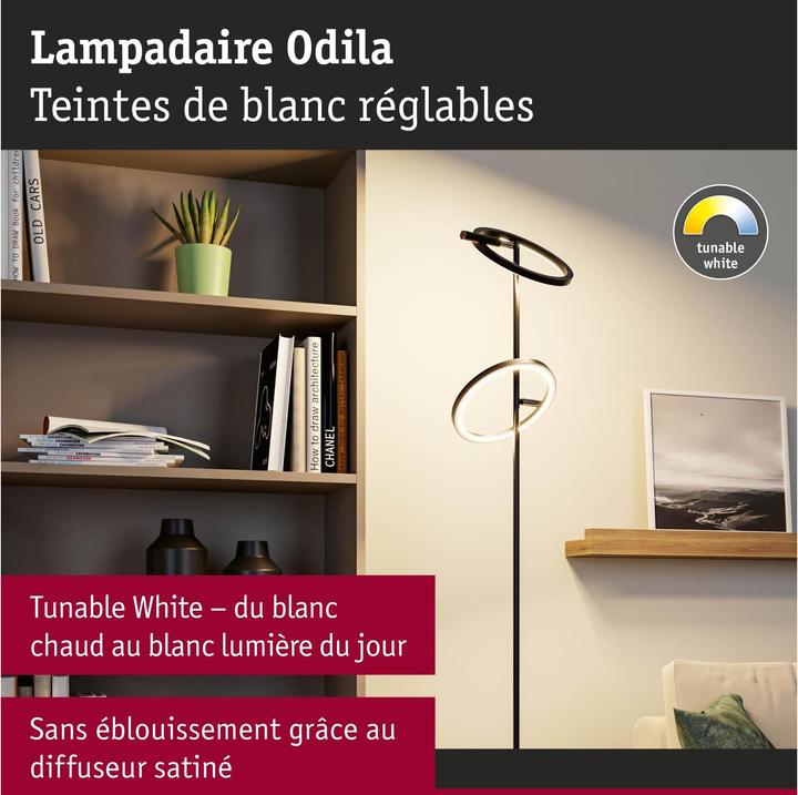 Image du produit Paulmann Odila (1200 lm)
