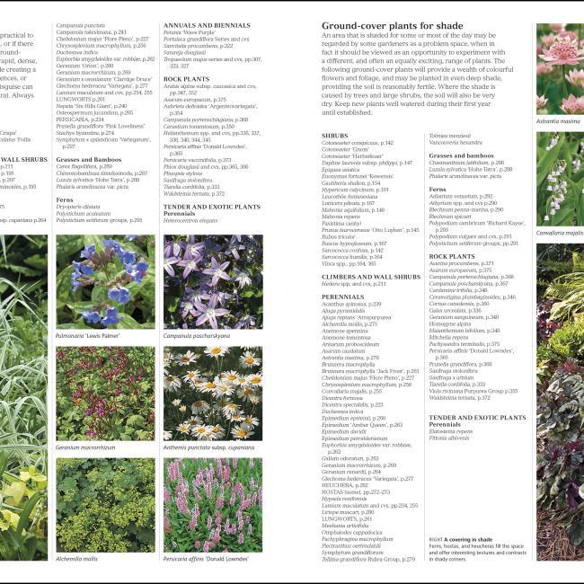 Immagine prodotto RHS Encyclopedia Of Plants And Flowers (Inglese, Christopher Brickell, 2019)