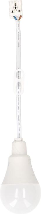 Actual product image Max Hauri Construction site lamp LED with connection cable + plug-in terminal (900 lm)