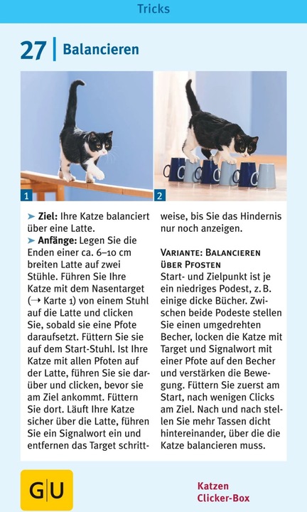 Immagine prodotto Katzen-Clicker-Box (Tedesco, Birgit Rödder, 2013)